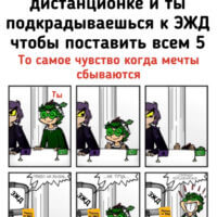 Когда училка на дистанционке ( тру стори )