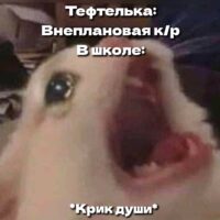 °•А тема та, которую ты даже не учил😾•°