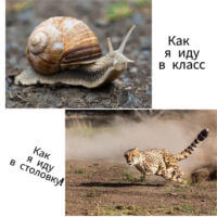 Как я иду в класс, как я иду в столовку!