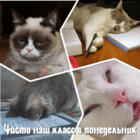 Одно слово: школа))) 