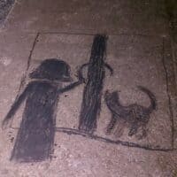 Девочка у окна с котом