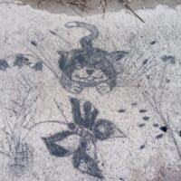 ~~~иногда нам кажется, что этот миг не уловим).... ~~~