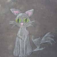 Я просто кот, брожу вокруг ⁓