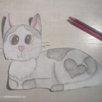 Кошечка Валентинкаฅ⁠^⁠•⁠ﻌ⁠•⁠^⁠ฅ