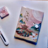 ♡₊˚ 🦢・₊✧