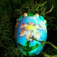 ◌⑅⃝●♡⋆🥚♡ Egg ♡🥚⋆♡●⑅⃝◌