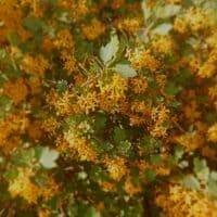 𖤓 Shine brighter sun 𖤓