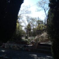 🎨 "...И вот эти купола.. Будет пусть весь мир зелёный, пусть он пляшет..." 🌿