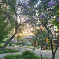 🫸🪻┆☺︎☆ᵕ̈﹏Постучалась ветками сирень в окно... ﹏ᵕ̈☆☻┆🫷🪻