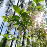 Весна - прекрасное время года🌸