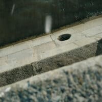 неизвестен без названия