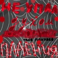 🌹:"Пока не упал духом, любые другие падения по плечу::❤️‍🩹