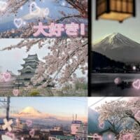 ｡˚🌸поездка в горы Японии ⛩️❀ ˚｡⋆