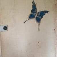 Опа, опа. А вот и Дʙᴇᴩь