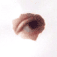 Д -  дырка 👁️