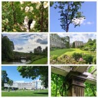 Моë лето прошло в парках Царского села ~ 💗