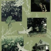 О, верни мне душу, душа двурогой горы... 