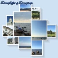 🦋My Blue Summer🦋