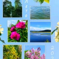 Моë цветочно - озëрное лето🌸🌿 (в этот раз было скучноватым🥲) 