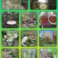 Лето в деревне🌲🌊🦔