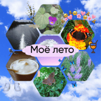 История моего лета