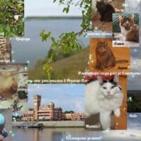 Часть лета я провела в Йошкар-Оле, городе, где раньше жили мои родители)