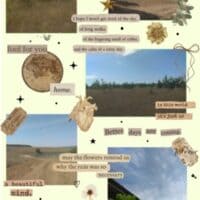 · Хочется просто сбежать в лес... ·