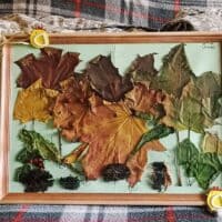 Кошка, но она решила стать собакой, так что, как хотите, так зовите