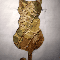 Осенний котик ~ 🍁