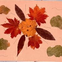 Осеннее солнышко 🍁☀️