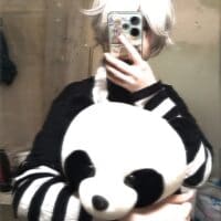 Гоголь из бсд + панда = Гоголь с пандой.