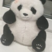 🐼🌔 игрушка от друга 😭💗