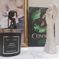 –Даже у тёмного волшебника есть светлая сторона