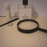 Эстетика элегантности