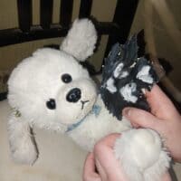 Мася и листочек 