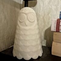 днем это обычная сова. но ночью она раскрывается по-настоящему ﹒⌗﹒🦇﹒౨ৎ˚₊‧