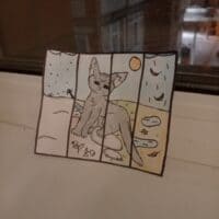 ｡･:*:･ﾟ’☆Звездный кот｡･:*:･ﾟ’☆