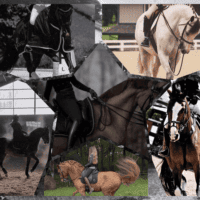 Лошадиный спорт. (Конний)