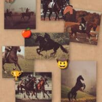 Конный спорт