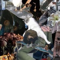 🛹 Скейтбординг 