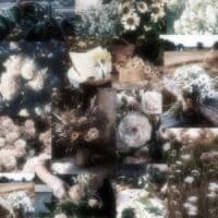 ⳝⲟⲧⲁⲏυⲕⲁ