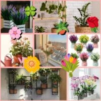 🌷Цветоводство как романтичное хобби🌷