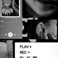 🤍 𝔹𝕝𝕒𝕔𝕜 𝕒𝕟𝕕 𝕨𝕙𝕚𝕥𝕖 🖤