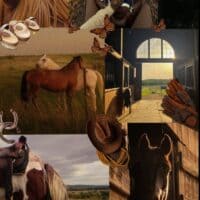 ･ﾟ♡︎:･ﾟверховая езда 