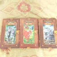 Коты Воители 🧡