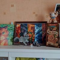 Знаю, что квшников тут много, но много ли квшников, имеющих алмазную мозаику?