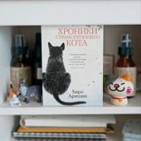 А вы почувствовали нечто безмятежное, спокойное, неторопливое?.. Это Япония🍛🍚