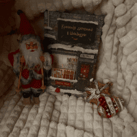 ☆⋆｡winter vibe𖦹°‧