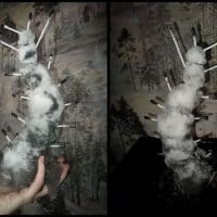 Ручная снежная сороконожка по кличке "Вата"