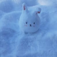 💜🐇눈토끼 🐇💜